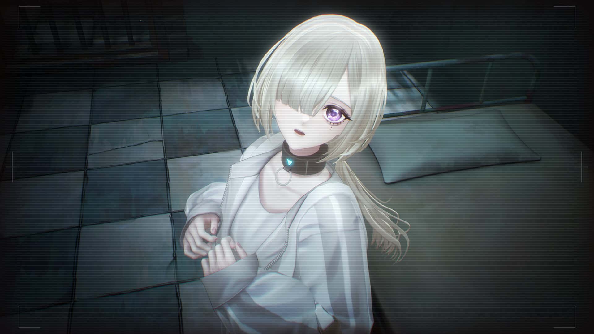 视觉数据5